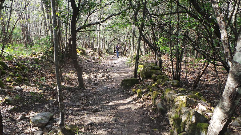 Apartamentos El Capricho Águeda del Caudillo エクステリア 写真