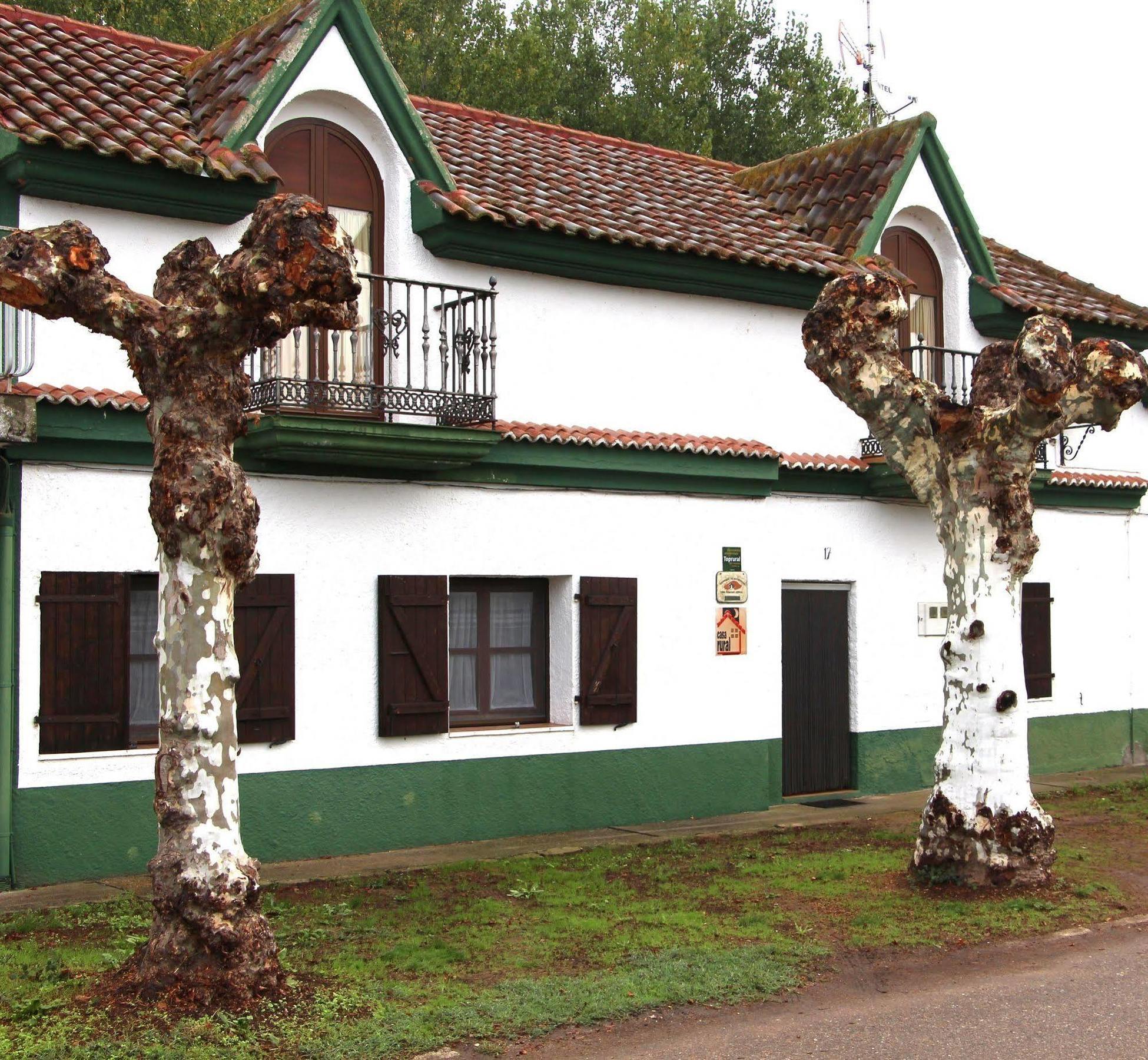 Apartamentos El Capricho Águeda del Caudillo エクステリア 写真